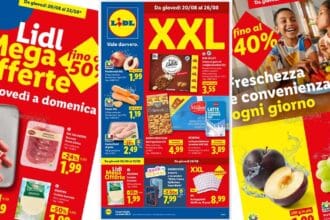 volantino lidl dal 20 al 26 agosto 2026