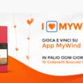 Concorso "I love My Wind"