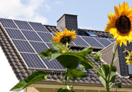Come risparmiare con le tariffe di energia solare