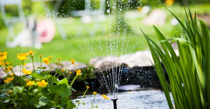 Come risparmiare nella manutenzione del giardino con il Bonus verde