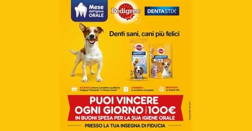 “Mese Igiene Orale”: vinci ogni giorno buoni spesa per l'igiene orale del tuo cane! 3 Mese Igiene Orale