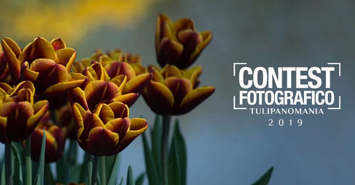 Tulipanomania 2019