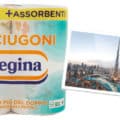 Asciugoni Regina: vinci Dubai e buoni acquisto