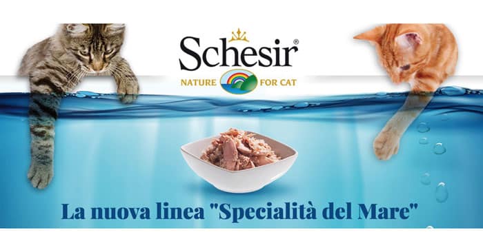 Buono sconto Schesir "Specialità del mare"