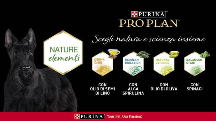 Vinci con Purina e Isola dei Tesori