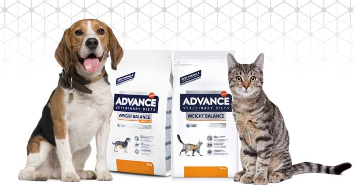 Diventa tester Advance Veterinary Diets Weight Balance