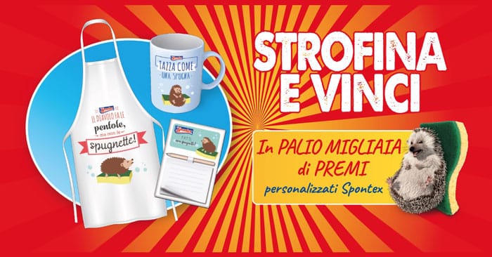 Spontex "Strofina e vinci"