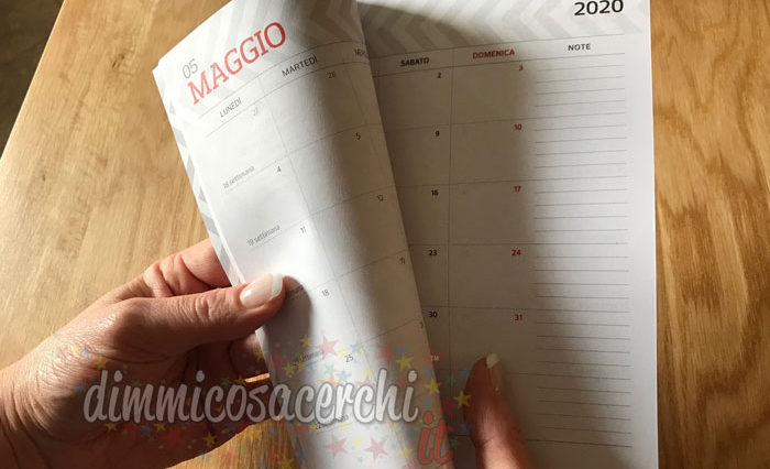 Agenda Pocket 2020 omaggio