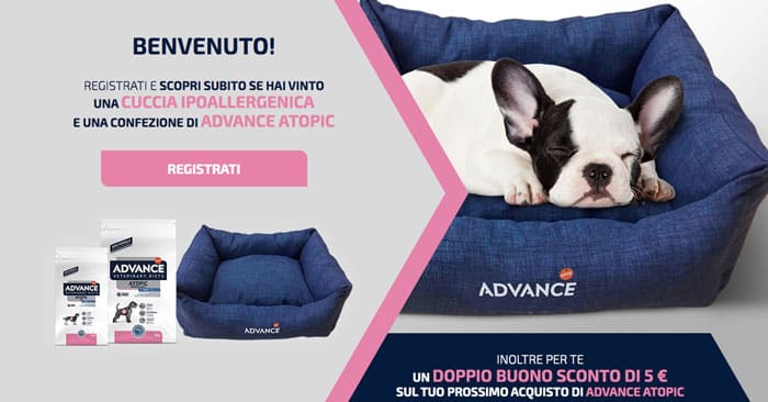 Concorso Advance Atopic