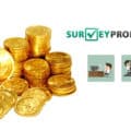 Surveypronto sondaggi