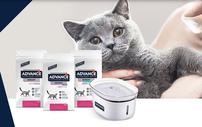 Concorso Advance Urinary: