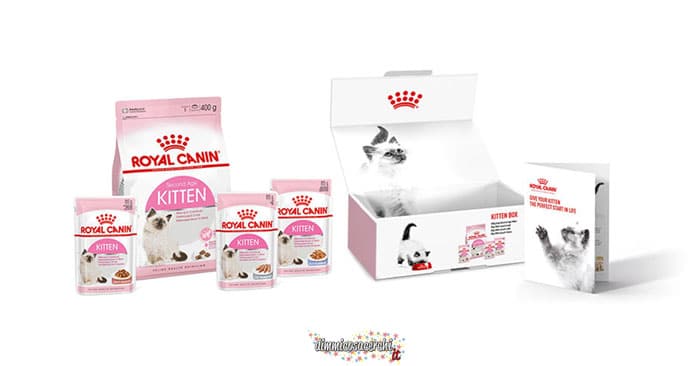 Royal Canin Kitten box omaggio