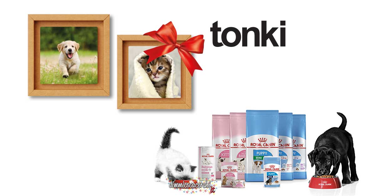 Quadretto Tonki Royal Canin