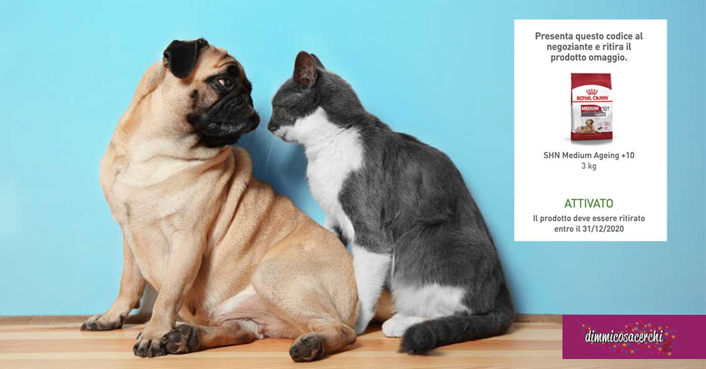 Omaggio Royal Canin