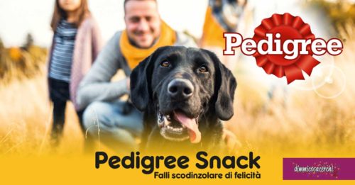 Pedigree Snack: diventa tester