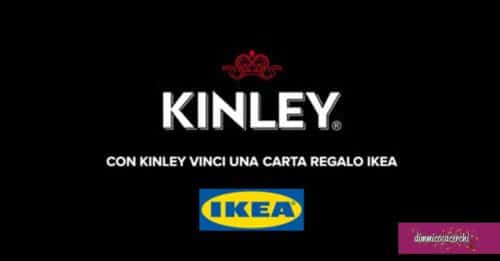 Vinci con Kinley