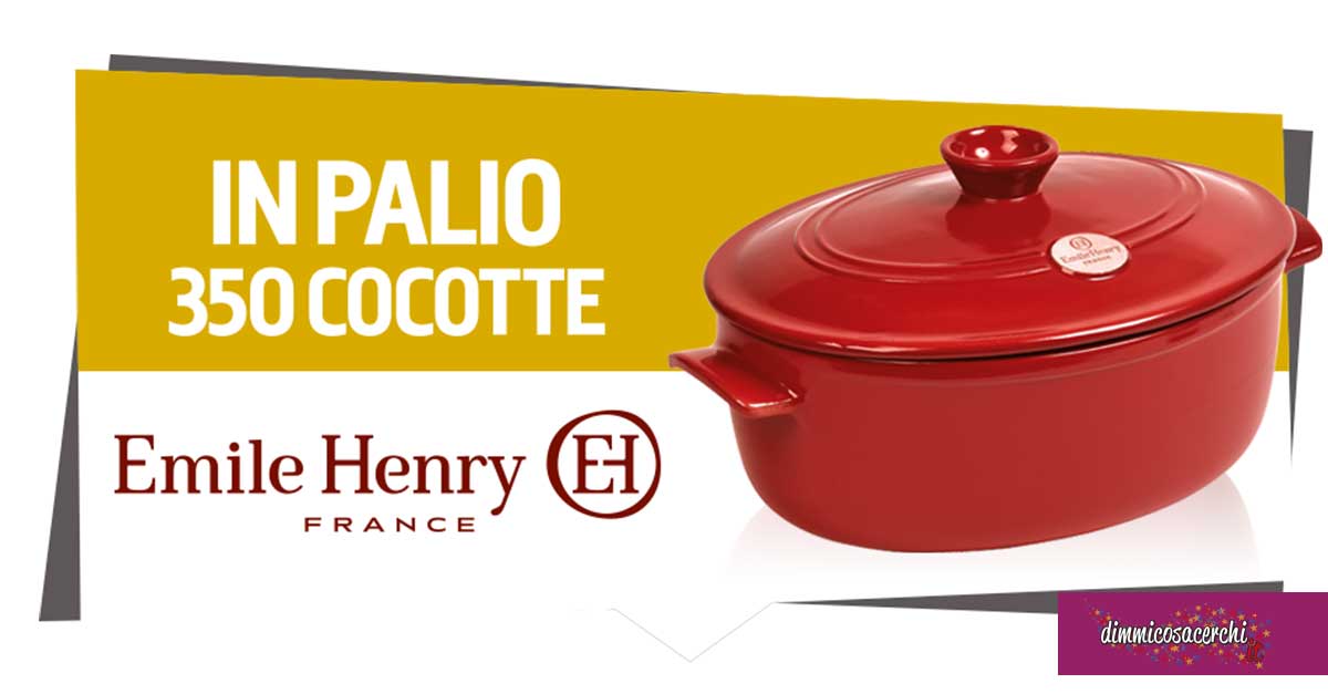 Vinci con Negroni e Fini