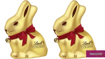 Lindt Gold Bunny