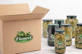 concorso ficacci 2026