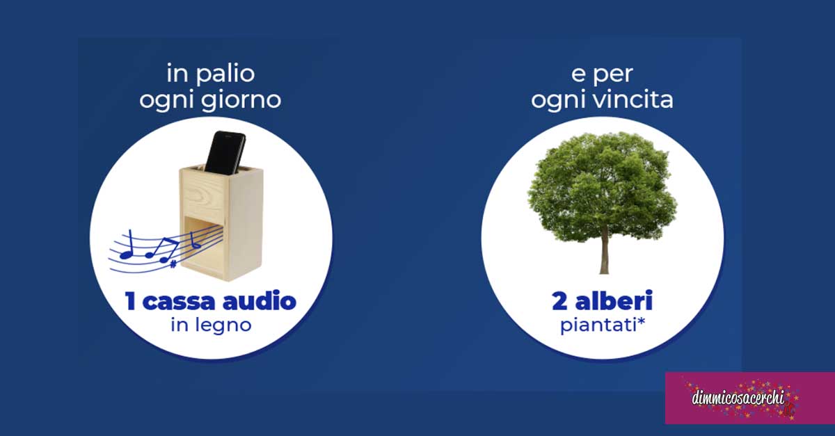 Vinci casse audio in legno con P&G