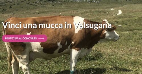 Fatti mandare in Valsugana a prendere il latte