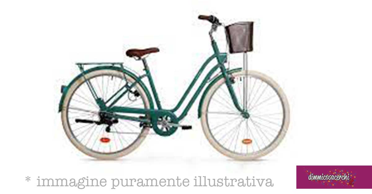 Vinci city bike con Florena