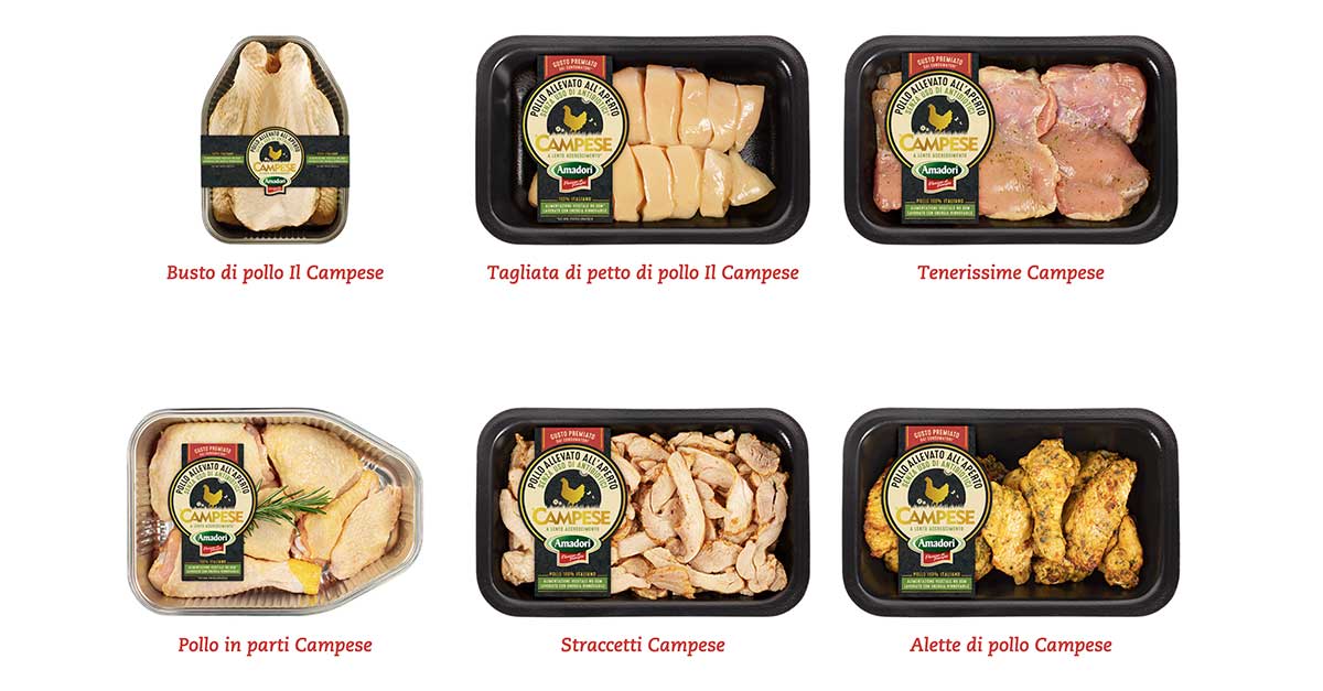 Buono sconto pollo Campese Amadori