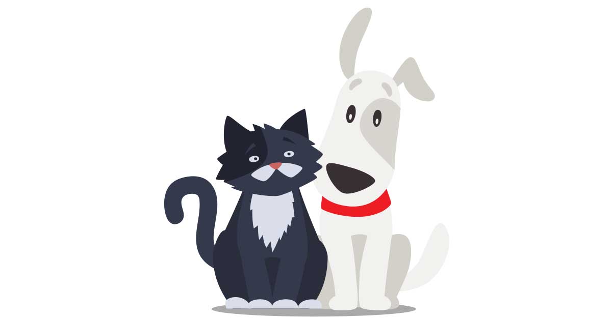 Purina Quiz: un regalo per te e il tuo pet