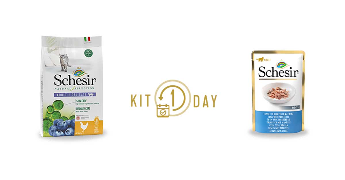 Omaggio Kit One Day Schesir