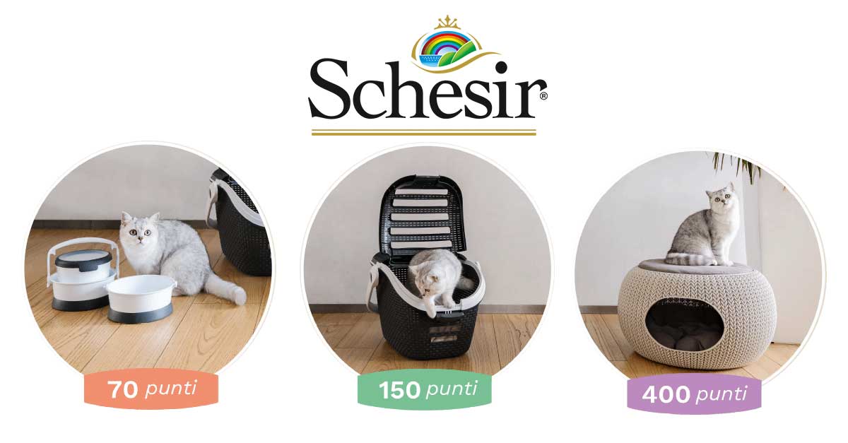 Raccolta punti Schesir