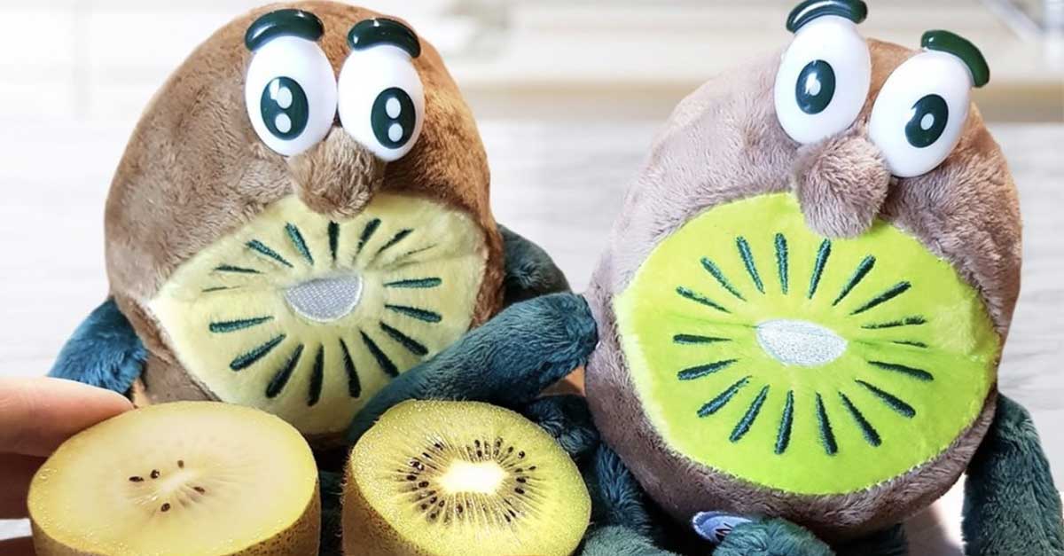 vinci peluche zespri