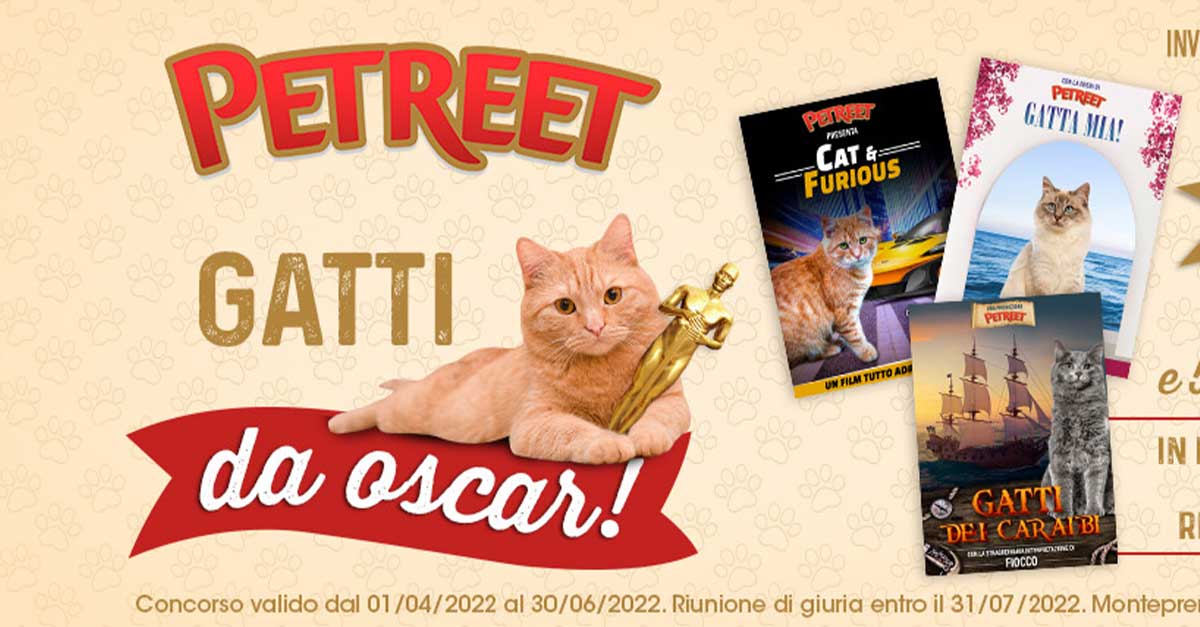 concorso petreet
