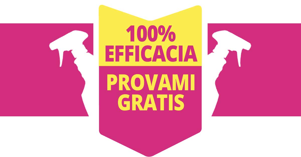 Provami gratis Ajax