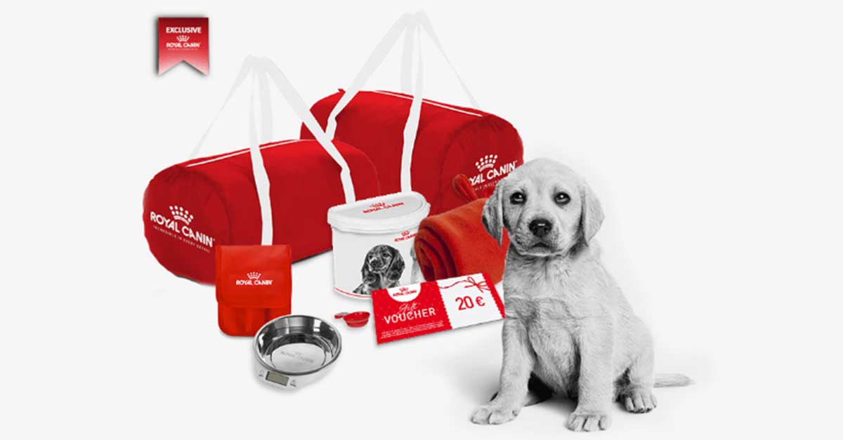 Concorso Royal Canin "Primi passi