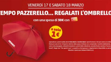 penny ombrello con la spesa