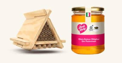 Concorso "Bee Pink" Pink Lady