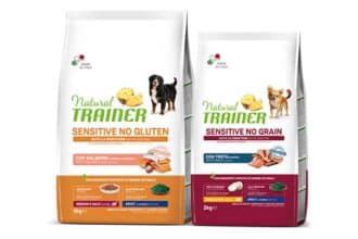 Concorso Natural Trainer Dog 2023