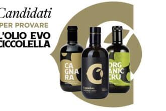 Diventa Tester dell’Olio Extravergine d’Oliva Ciccolella