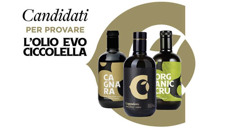 Diventa Tester dell’Olio Extravergine d’Oliva Ciccolella