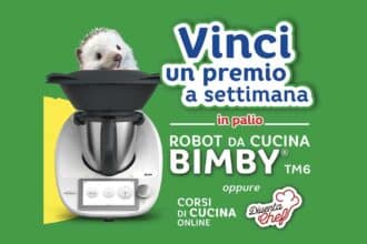 vinci con spontex