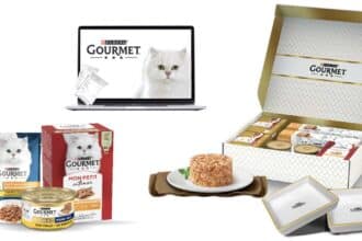 concorso Gourmet
