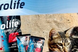 Contest #ProlifeFriends
