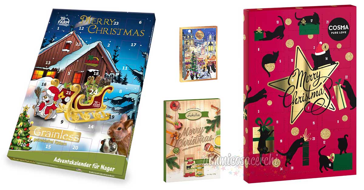 Calendari dell'Avvento Zooplus per PET a partire da 5,99€