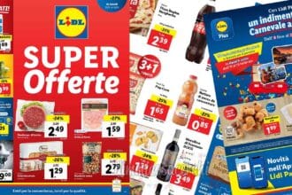 Volantino LIDL: offerte valide dal 22/01 al 28/01