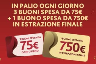 Vileda concorso 75 anni