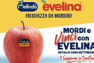 Mordi e vinci con Evelina 2024