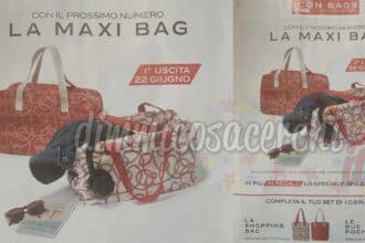 Rivista Amica collezione Icon Bags 2024 edicola