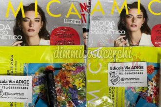 Rivista Amica con Lip make up Catrice