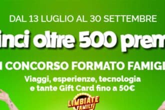 Carrefour Limbiate concorso