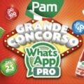 Concorso WhatsApp Pro